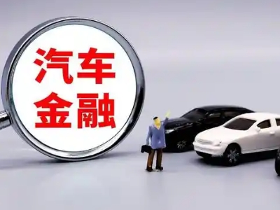 白水押车贷款不是本人可以么?